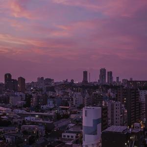 三级a做爰全过程
