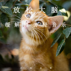 三级a做爰全过程
